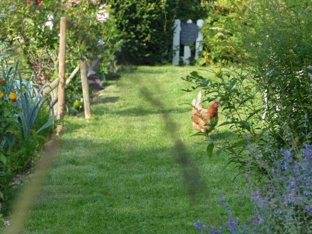 Homestay Le Jardin Du Rossignol